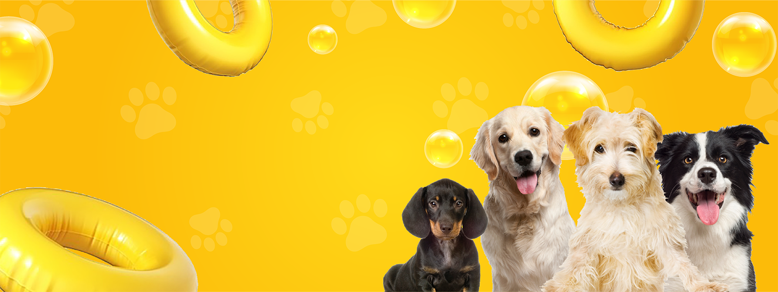 Dog grooming - bath and cut